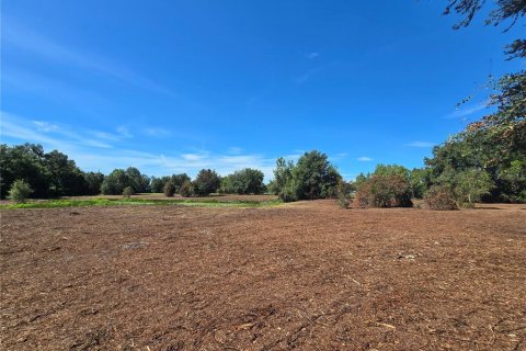 Land in Center Hill, Florida № 1900768 - photo 20