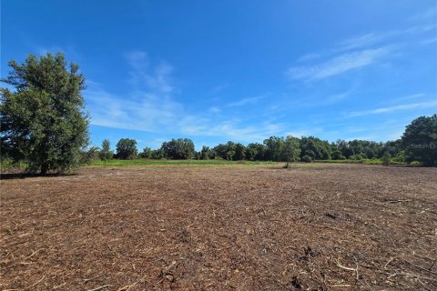 Land in Center Hill, Florida № 1900768 - photo 29