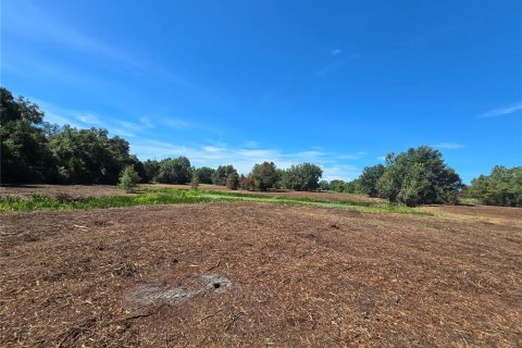 Land in Center Hill, Florida № 1900768 - photo 18