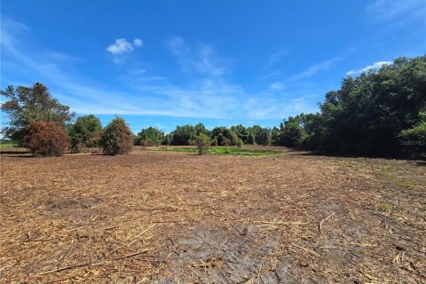 Land in Center Hill, Florida № 1900768 - photo 22