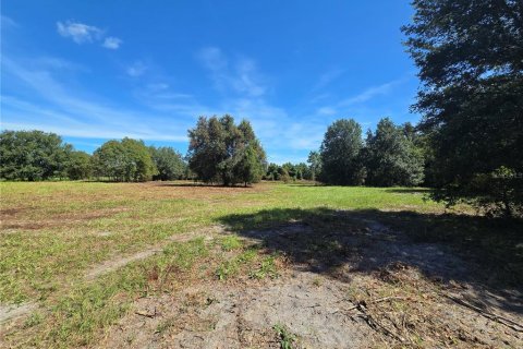 Land in Center Hill, Florida № 1900768 - photo 25