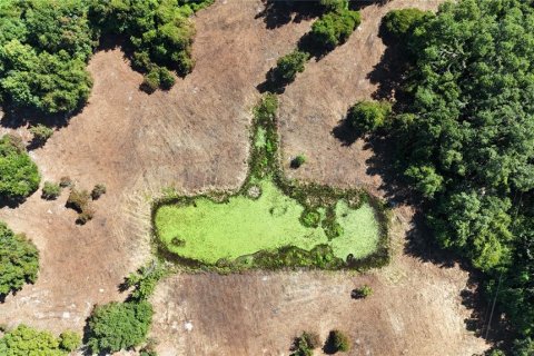 Land in Center Hill, Florida № 1900768 - photo 13
