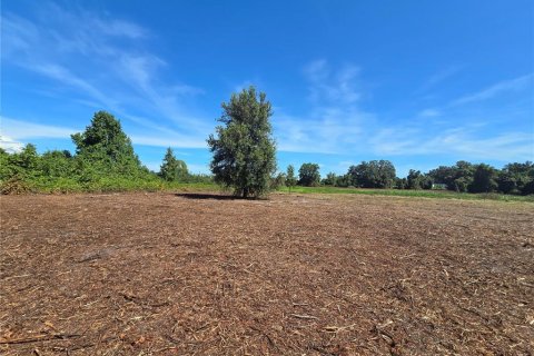 Land in Center Hill, Florida № 1900768 - photo 27