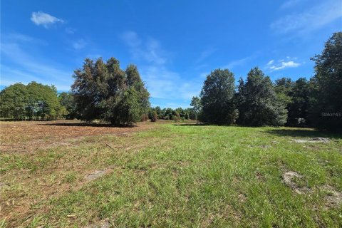 Land in Center Hill, Florida № 1900768 - photo 24