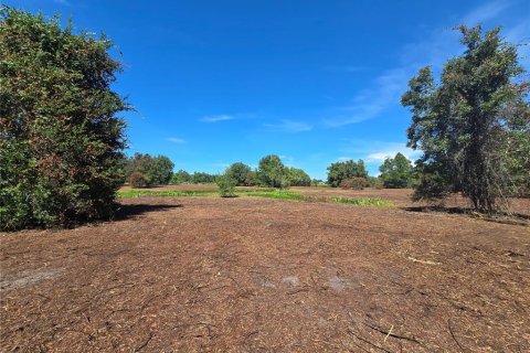 Land in Center Hill, Florida № 1900768 - photo 21