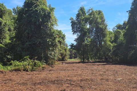 Land in Center Hill, Florida № 1900768 - photo 26