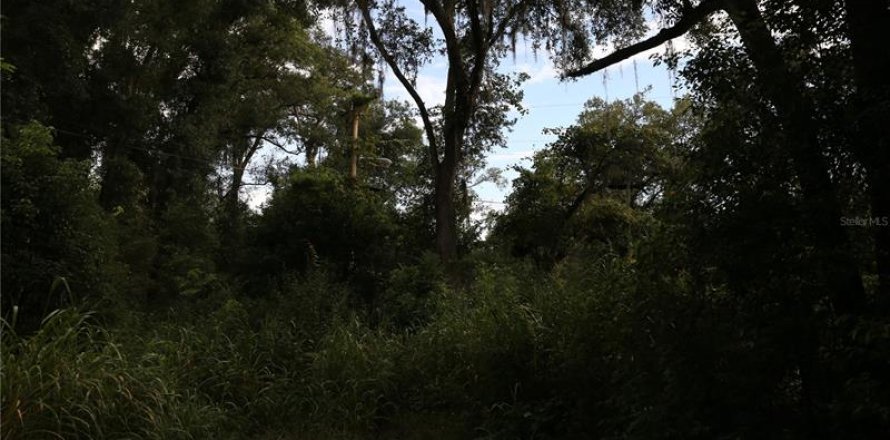 Terrain à Apopka, Floride № 214453