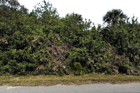 Terrain à Naples, Floride № 2104097
