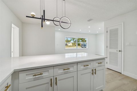Casa en venta en Tampa, Florida, 6 dormitorios, 176.33 m2 № 2109201 - foto 28