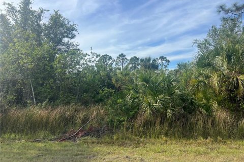Land in Port Charlotte, Florida № 2162713 - photo 2
