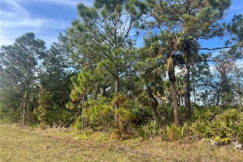 Land in Port Charlotte, Florida № 2162713