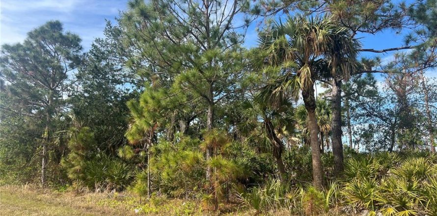 Land in Port Charlotte, Florida № 2162713