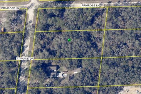 Land in Webster, Florida № 2160315