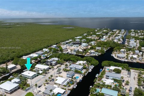 House in Key Largo, Florida 3 bedrooms, 138.98 sq.m. № 1930102 - photo 30