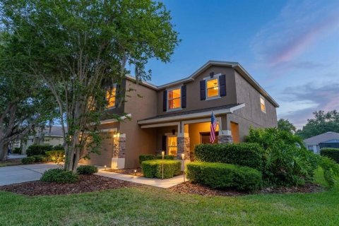 Casa en Fish Hawk, Florida 4 dormitorios, 270.35 m2 № 2115784
