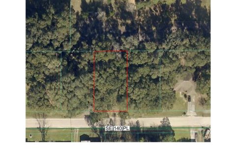 Land in Summerfield, Florida № 2296306
