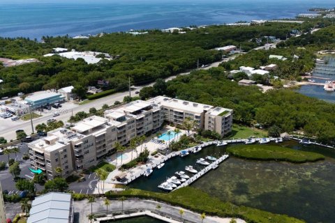 Copropriété à vendre à Tavernier, Floride: 2 chambres, 73.76 m2 № 2262524 - photo 5