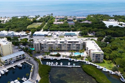 Copropriété à vendre à Tavernier, Floride: 2 chambres, 73.76 m2 № 2262524 - photo 3