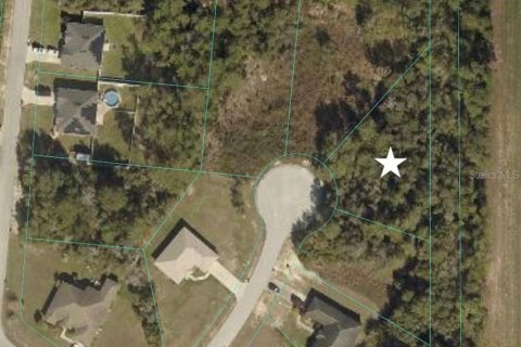 Land in Ocala, Florida № 2110983