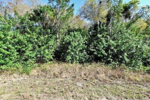Land in North Port, Florida № 2163492 - photo 2
