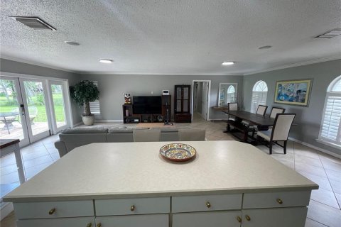 Villa ou maison à louer à Windermere, Floride: 3 chambres, 160.26 m2 № 1780744 - photo 12