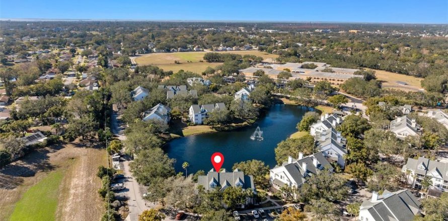 Condo à Palm Harbor, Floride, 1 chambre № 1527285