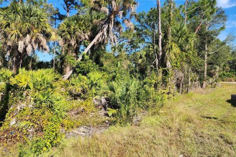 Terrain à vendre à Port Charlotte, Floride № 2213973 - photo 8