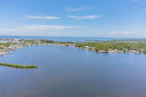 Commercial property in Port Richey, Florida 477.7 sq.m. № 1629803 - photo 13