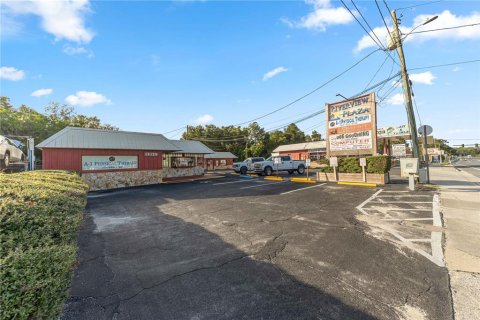 Commercial property in Dunnellon, Florida № 2367100 - photo 14