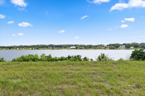 Land in Auburndale, Florida № 1691009 - photo 12