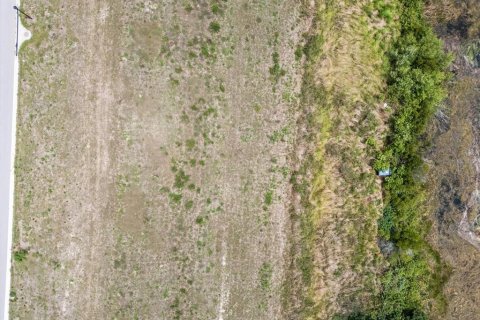 Land in Auburndale, Florida № 1691009 - photo 15