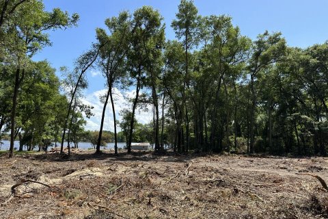 Land in Jacksonville, Florida № 817842 - photo 1