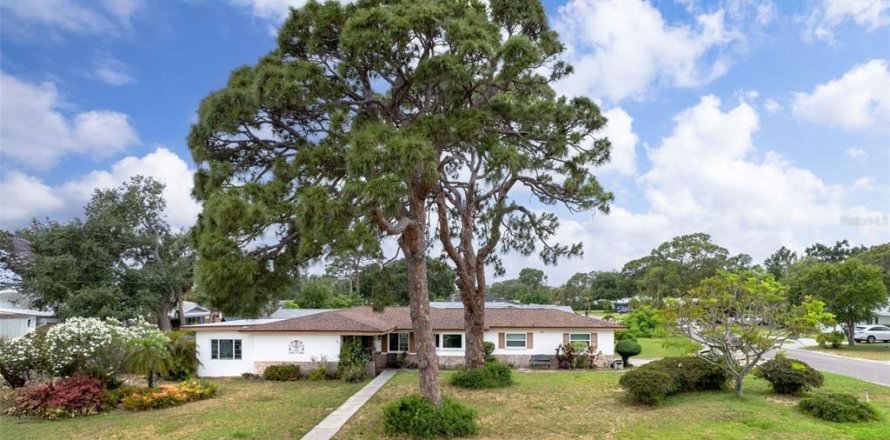 House in Saint Petersburg, Florida 2 bedrooms, 149.02 sq.m. № 1747190