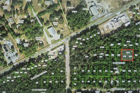 Land in Dunnellon, Florida № 2161560 - photo 5