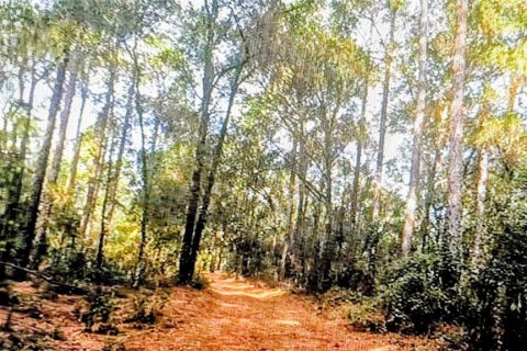 Land in Dunnellon, Florida № 2161560 - photo 2