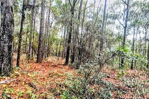 Land in Dunnellon, Florida № 2161560