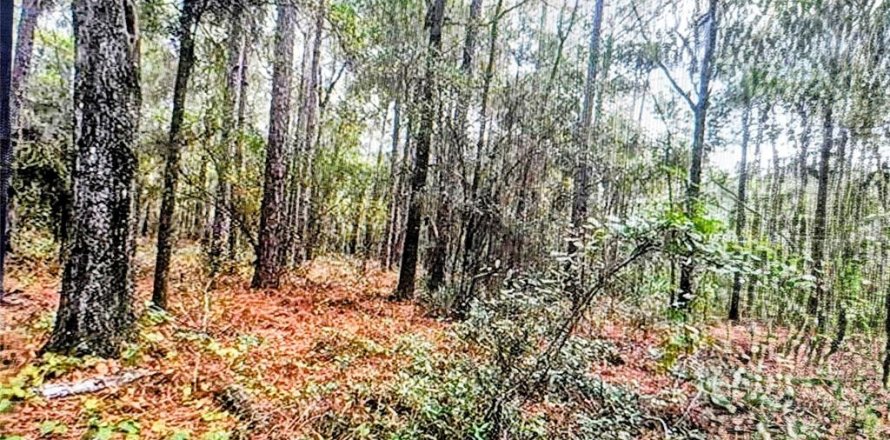 Land in Dunnellon, Florida № 2161560