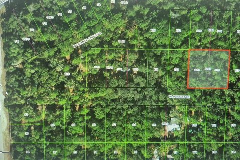 Land in Dunnellon, Florida № 2161560 - photo 4
