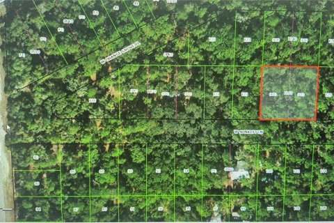 Land in Dunnellon, Florida № 2161560 - photo 3
