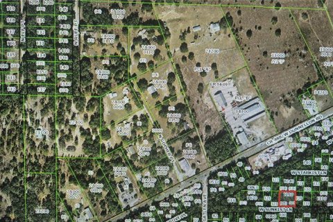 Land in Dunnellon, Florida № 2161560 - photo 6