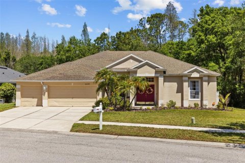 House in Wesley Chapel, Florida 4 bedrooms, 335.75 sq.m. № 1630812 - photo 3