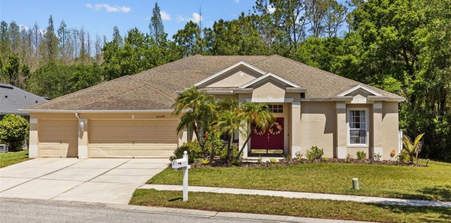 House in Wesley Chapel, Florida 4 bedrooms, 335.75 sq.m. № 1630812