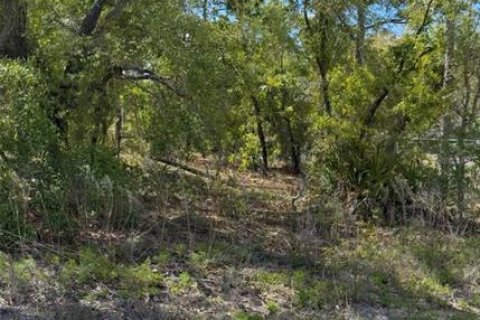 Land in Weeki Wachee, Florida № 2158746