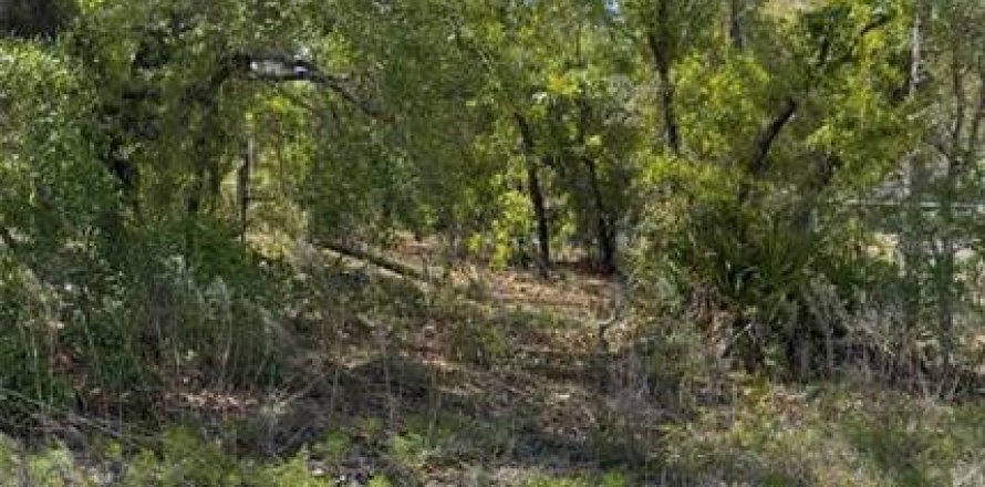 Land in Weeki Wachee, Florida № 2158746