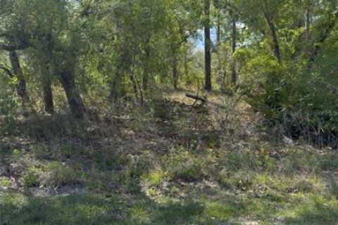 Land in Weeki Wachee, Florida № 2158746 - photo 2