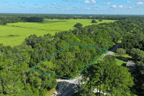 Terrain à vendre à Dunnellon, Floride № 1904658 - photo 8
