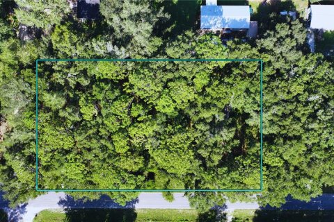 Terrain à vendre à Dunnellon, Floride № 1904658 - photo 5