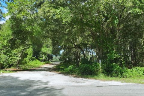 Terrain à vendre à Dunnellon, Floride № 1904658 - photo 2