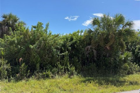 Land in Port Charlotte, Florida № 2379309 - photo 2