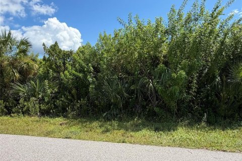 Land in Port Charlotte, Florida № 2379309 - photo 3